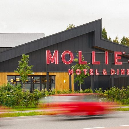 Mollie'S Motel & Diner Bristol Eksteriør bilde