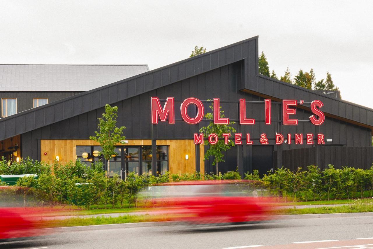 Mollie'S Motel & Diner Bristol Eksteriør bilde